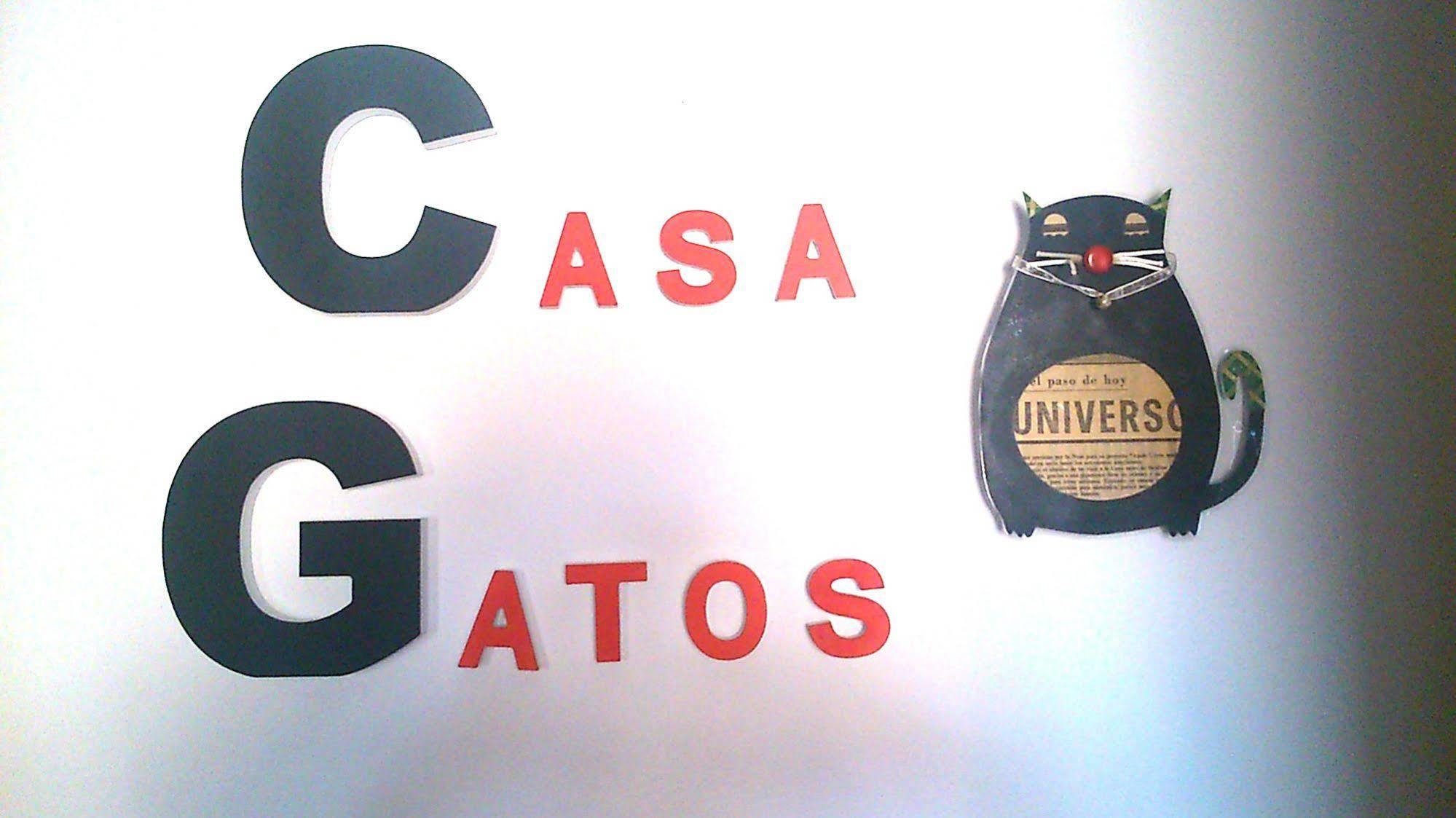 Casa Gatos Apartment Toledo Bagian luar foto