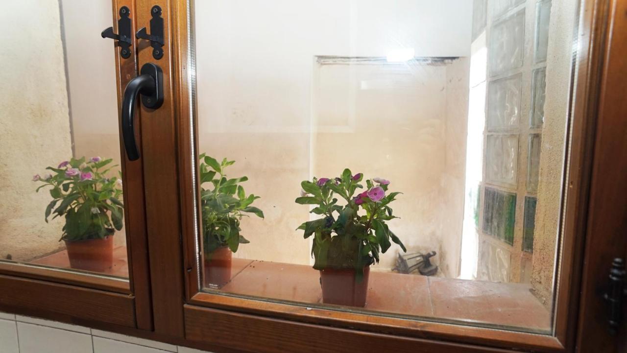 Casa Gatos Apartment Toledo Bagian luar foto