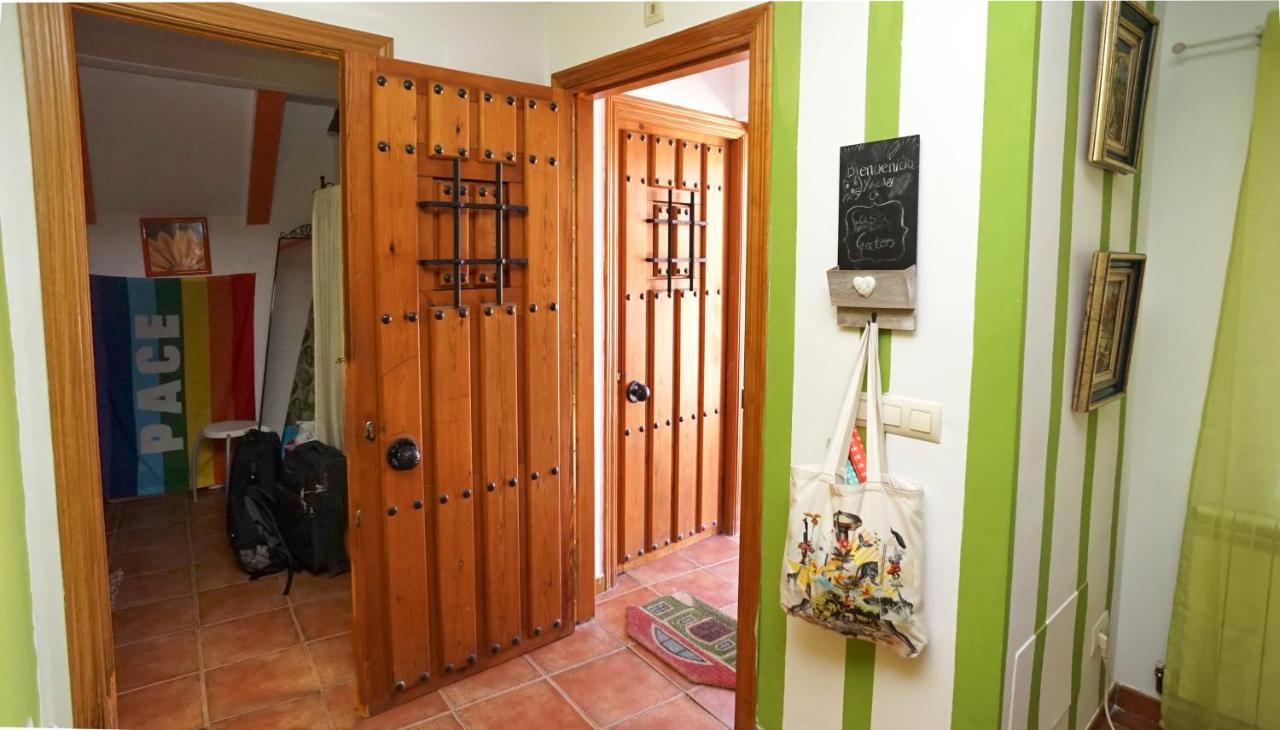 Casa Gatos Apartment Toledo Bagian luar foto
